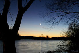 Harrison Arkansas Real Estate